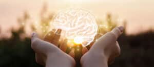 brain