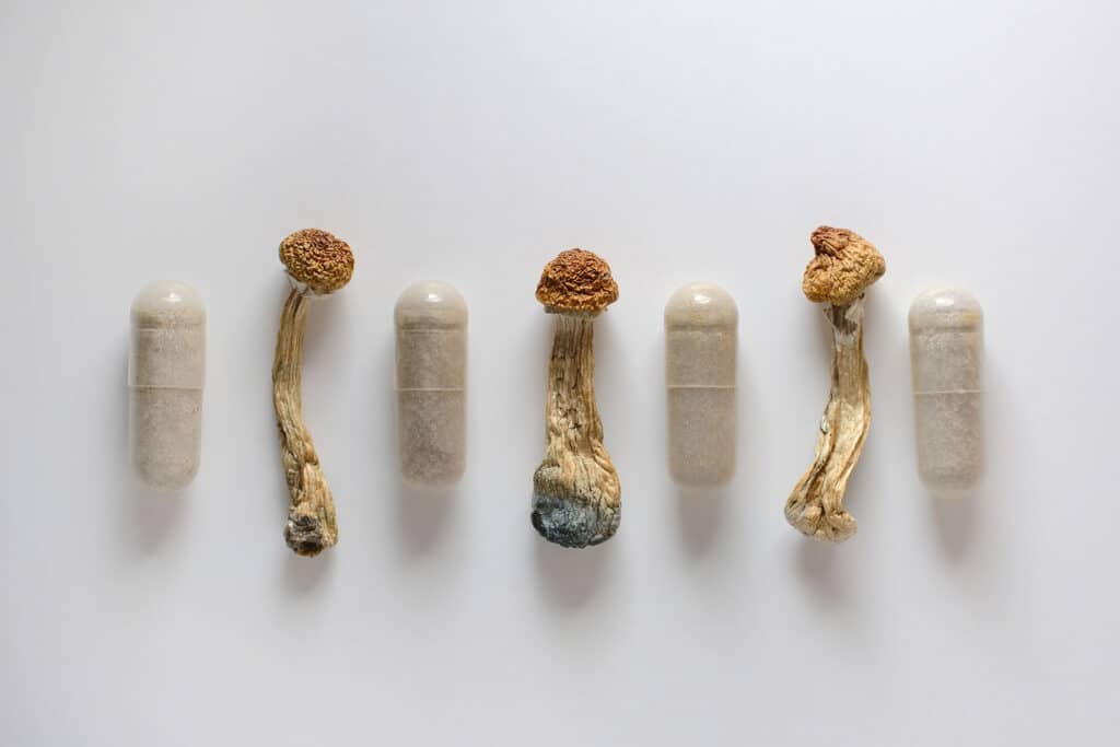 mushroom pills